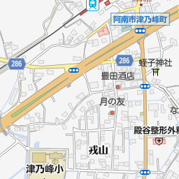 阿南市立津乃峰小学校 阿南市 小学校 の地図 地図マピオン