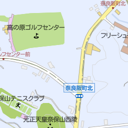 般若寺 奈良市 神社 寺院 仏閣 の地図 地図マピオン