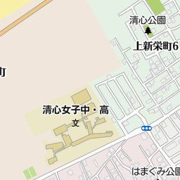 介護老人保健施設 葵の園 新潟寺尾 新潟市西区 有料老人ホーム 介護施設 の地図 地図マピオン