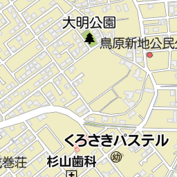 古地図 新潟市線路図 昭和5年