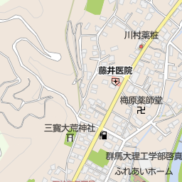 群馬県立桐生女子高等学校 桐生市 高校 の地図 地図マピオン
