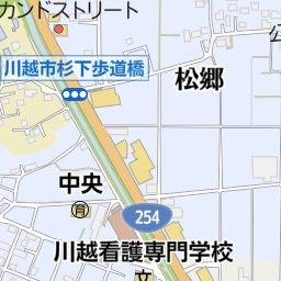 埼玉県川越市大字小仙波の地図(35.915538512151855