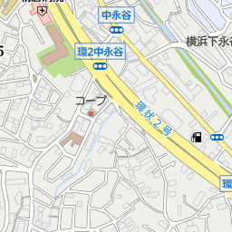 平戸永谷川 横浜市港南区 河川 湖沼 海 池 ダム の地図 地図マピオン