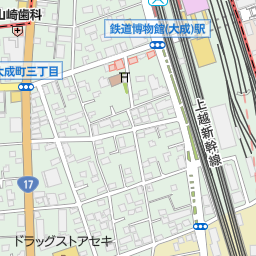 大原こども専門学校 さいたま市大宮区 専門学校 他学校 の地図 地図マピオン