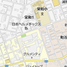 埼玉大学 英語教育開発センター さいたま市桜区 大学 大学院 の地図 地図マピオン