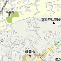 ピザーラ大倉山店 横浜市港北区 イタリアン の地図 地図マピオン