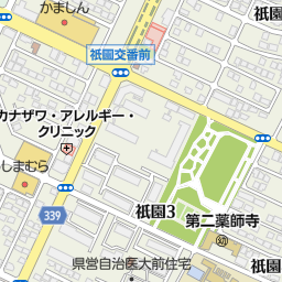 自治医大駅 下野市 駅 の地図 地図マピオン