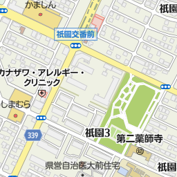 自治医大駅 下野市 駅 の地図 地図マピオン