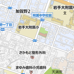 国立岩手大学教育学部附属小学校 盛岡市 小学校 の地図 地図マピオン