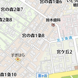 ローソン札幌円山南１条店 札幌市中央区 コンビニ の地図 地図マピオン