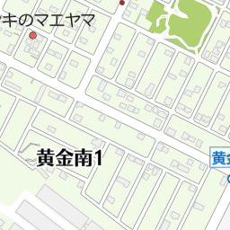 北海道恵庭市黄金中央4丁目9の地図(42.88936928672044