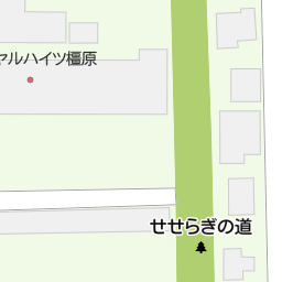大和八木駅 奈良県橿原市 周辺のすき家一覧 マピオン電話帳